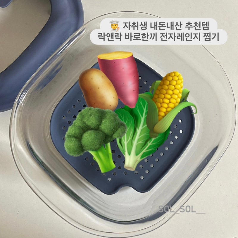 자취생 전자레인지 찜기 추천 락앤락 바로한끼 간편조리 용기