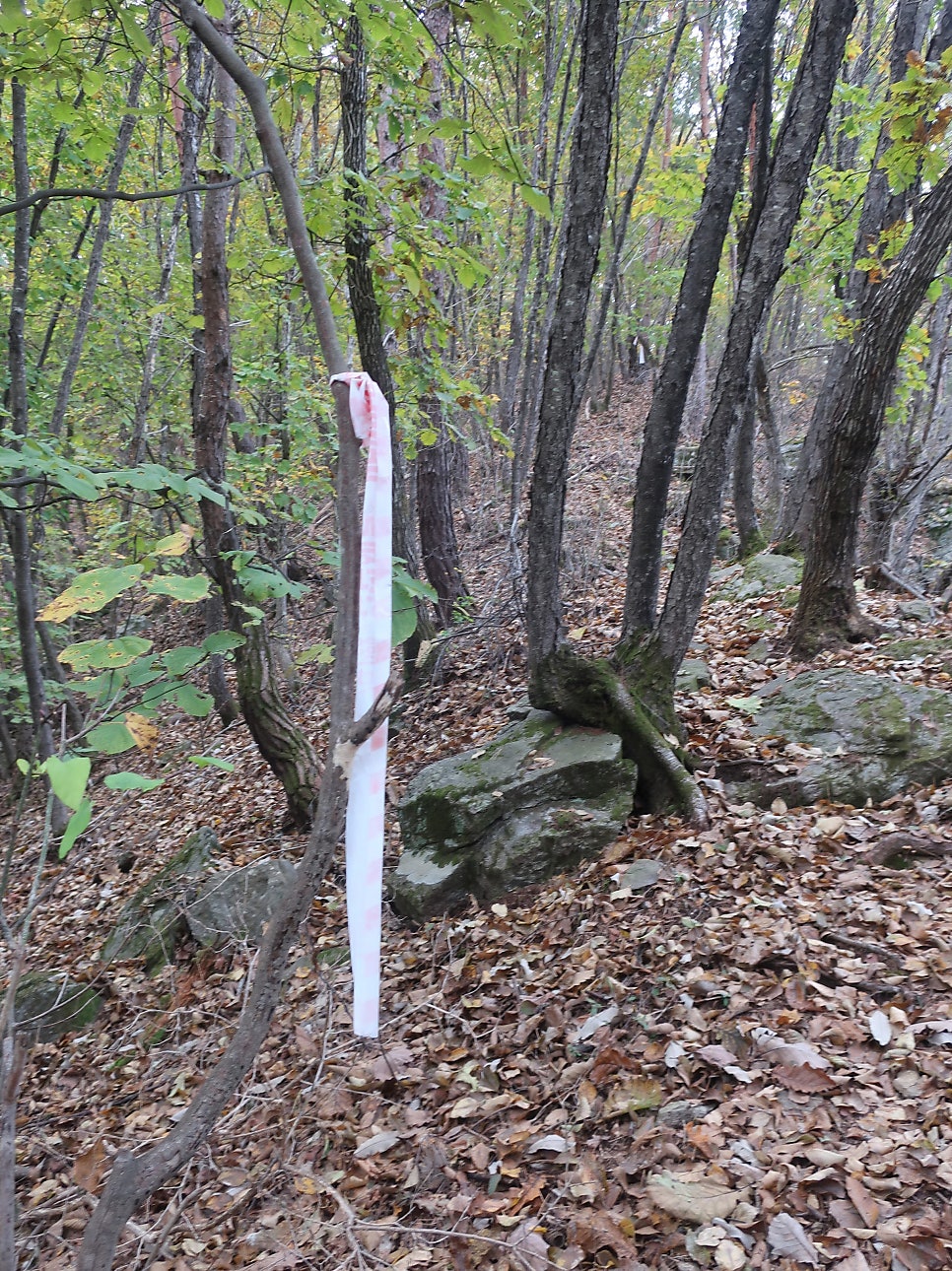 병풍산 사진 6