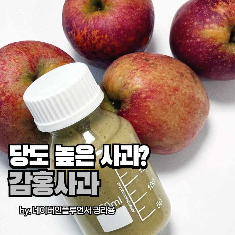 감홍사과로 만드는 해독주스 레시피 사과제철 맞은 사과 요리 추천