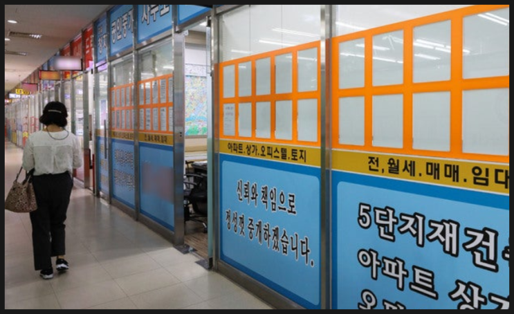  [토지거래허가구역] 내 집 마련 발 동동... '실거주 2년'과 '갭투자 원천 금지'가 불러올 나비효과