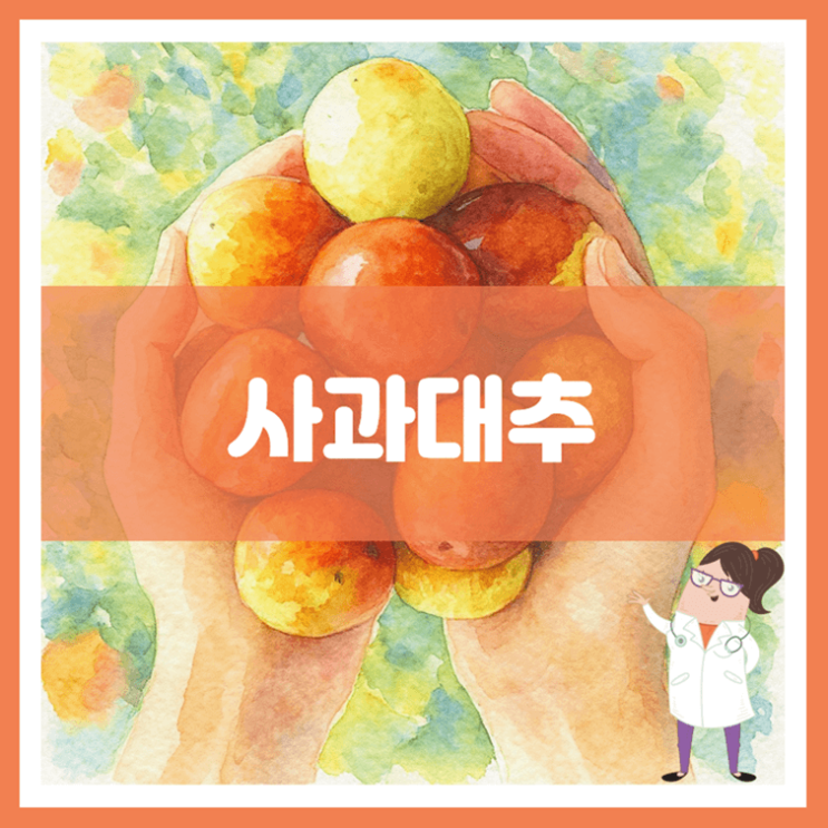  사과대추 효능 영양성분 부작용