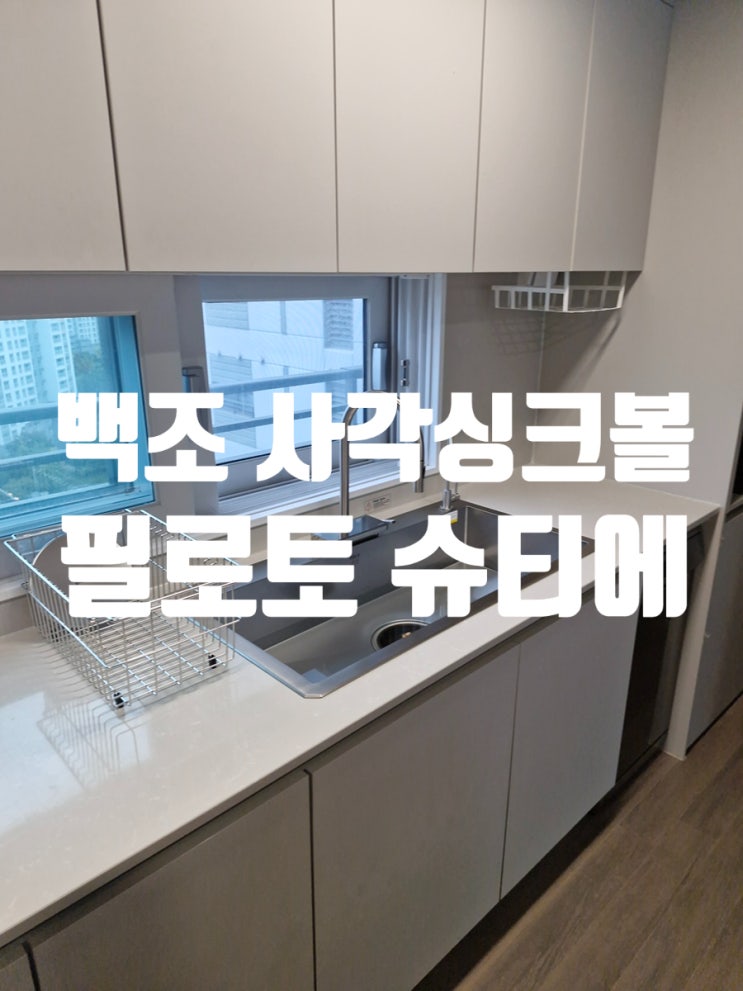  백조 사각싱크볼 & 필로토 슈티에 세련된 주방 분위기