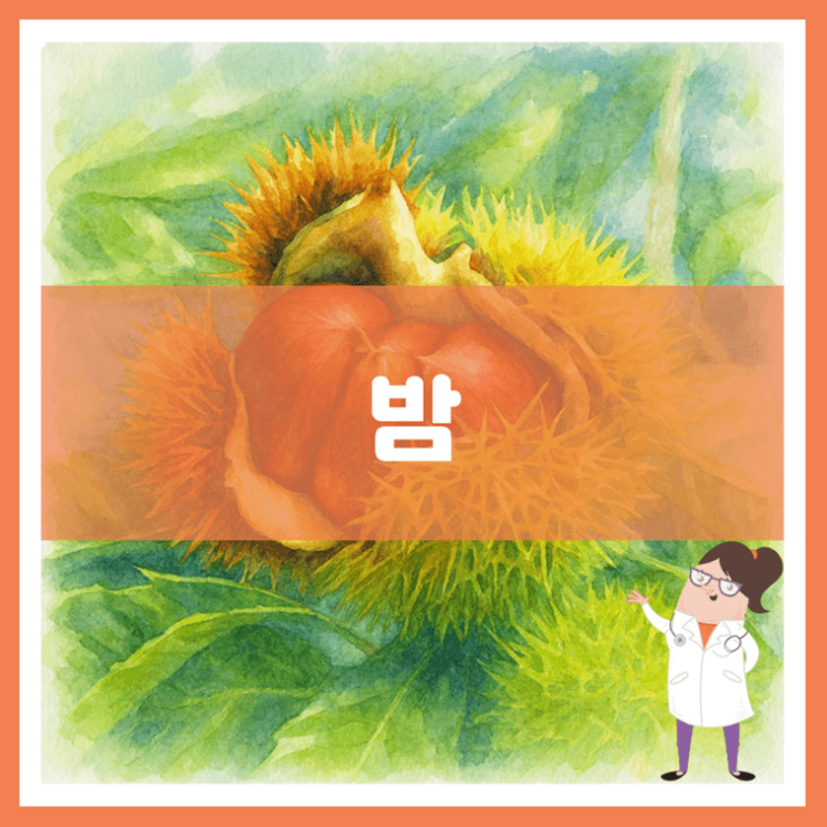  밤 효능 영양성분 부작용