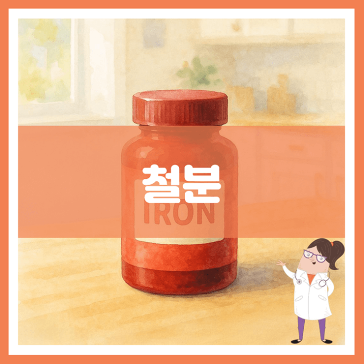  철분 효능 섭취방법 부작용