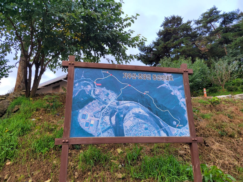 기우산 사진 4
