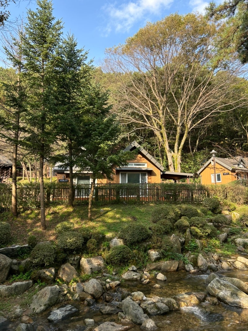 용인자연휴양림 숲속의집 느티골 5-2 계곡앞 가족숙소 이용 후기