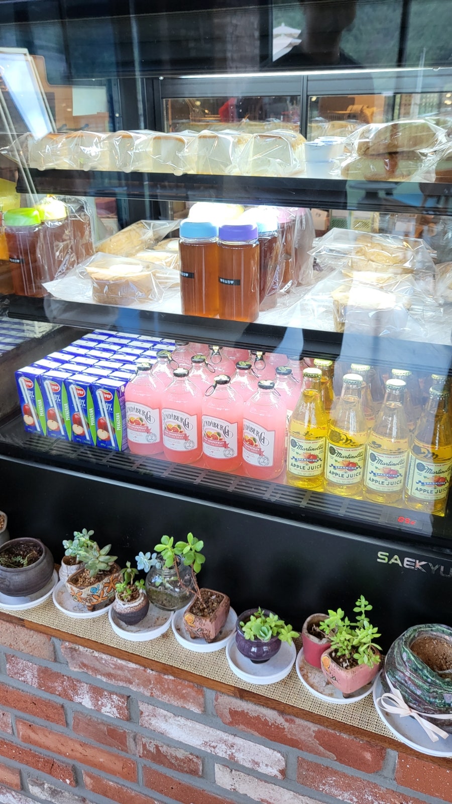 별이 내리는 숲 사진 6