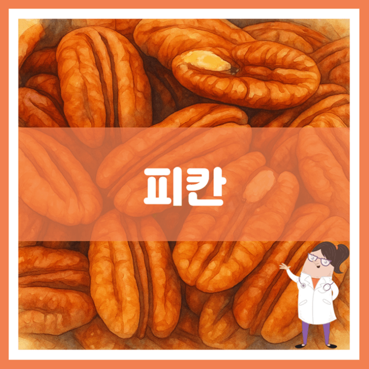  피칸 효능 영양성분 부작용