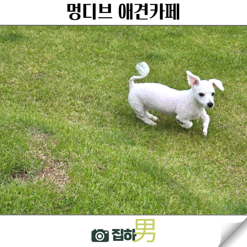 사진 4