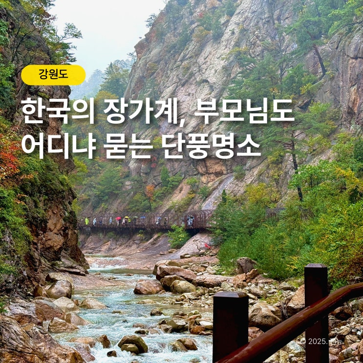  단풍구경과 등산 한 번에, 5060이 반한 설악산 오색약수터 주전골 계곡