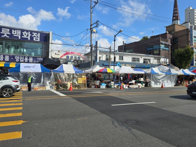 상생페이백 디지털 온누리상품권 사용처! 일산시장 오일장 다녀온 후기