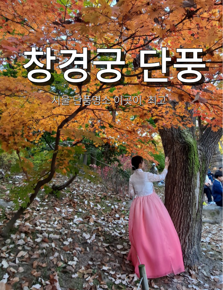  창경궁 단풍 명소 야간 시기 한복 대여 후기
