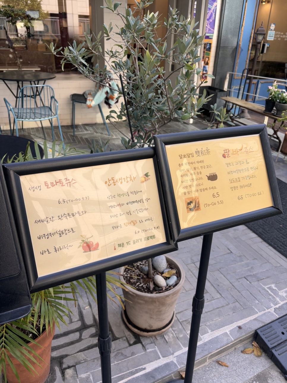 달쏘 사진 3