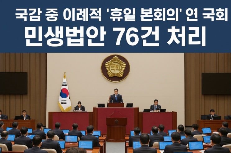 '<b>응급실 뺑뺑이 방지법</b>' 등 민생법안 76건 처리 (핵심 요약)
