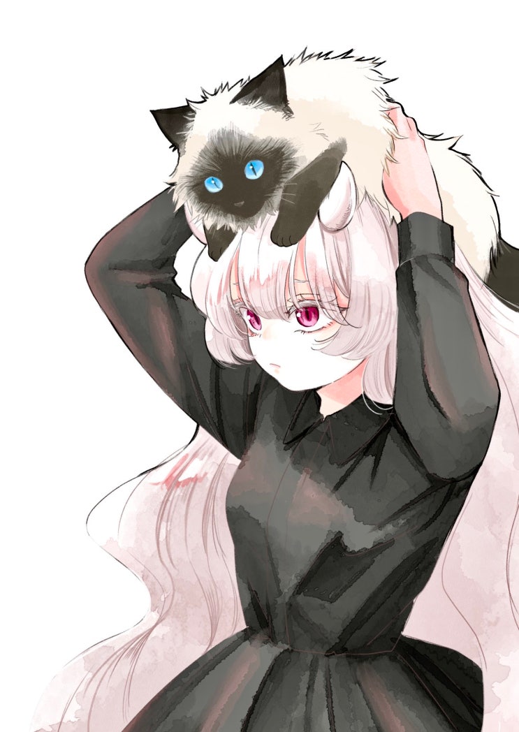  고양이와 카레와 구부러진 뿔 - [오리지널 만화][웹코믹]