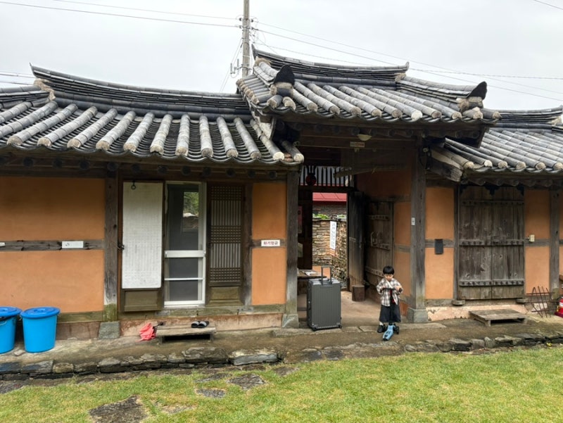 사진 5