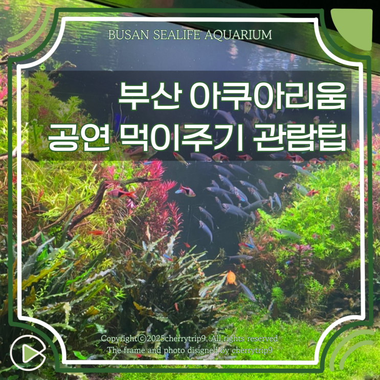 부산 씨라이프 아쿠아리움 공연 먹이주기 관람 시간