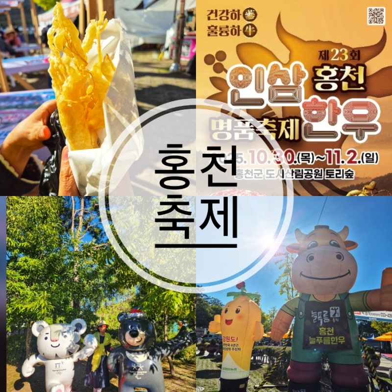 2025 홍천 인삼한우 명품축제 기본정보 일정 주차 초대가수 가볼만한곳