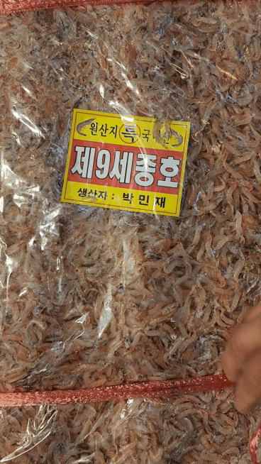  김장용 생새우 구입 구매 가이드 동백하 새우젓 (수산물전문가가 알려주는 김장용 생새우 이야기)