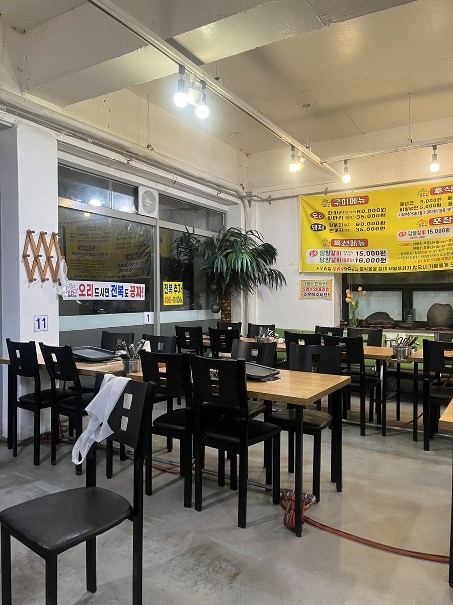 오리면돼지 사진 4
