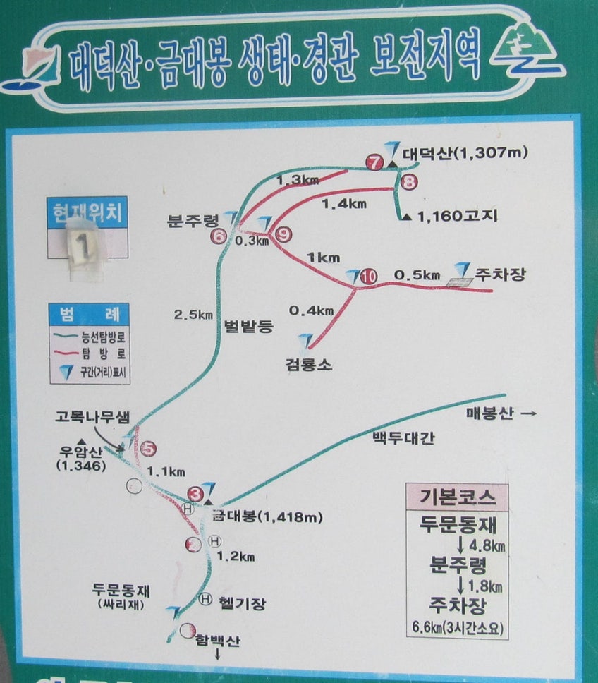 들꽃향기 사진 2