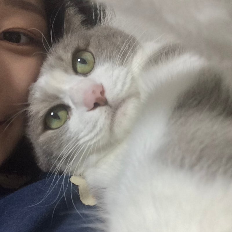 아이폰 5s 색감 비교, 사진 모음 ☁️