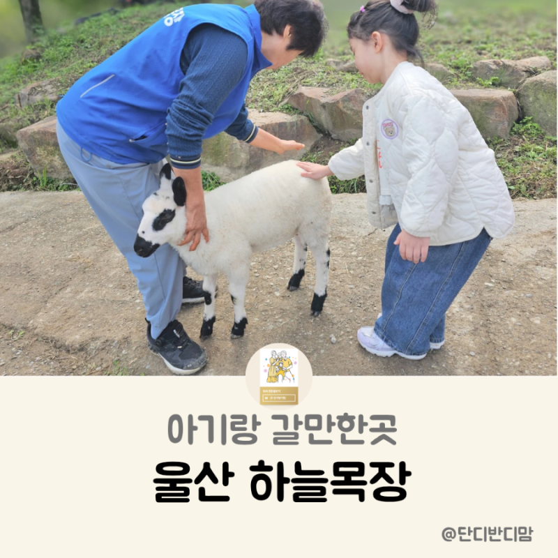 울산 하늘목장 경주 근교 아기랑 갈만한곳 가족나들이