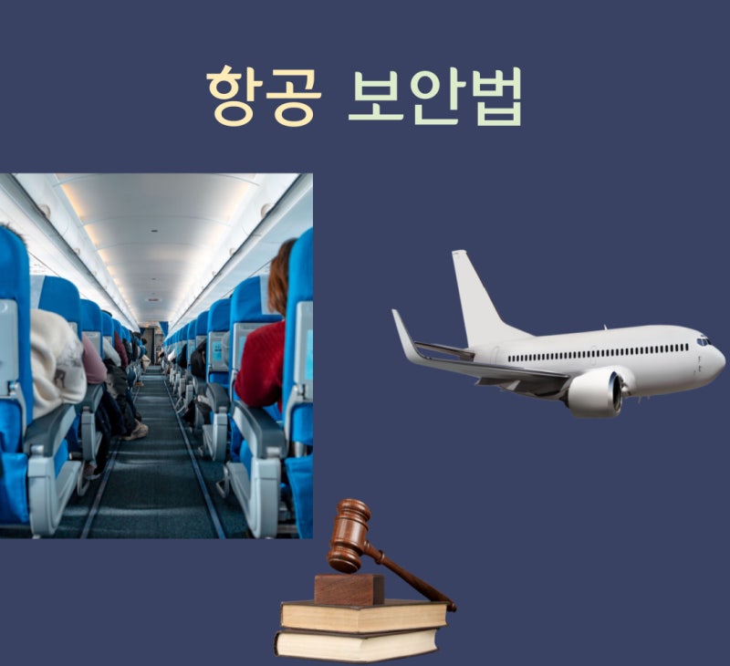 항공 보안법 관련 이미지 1