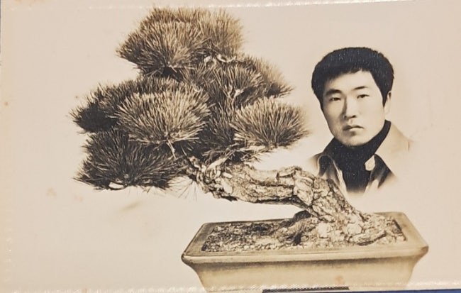 <b>조용필</b>이 부른 <b>일편단심  민들레</b>에 숨겨진 이야기