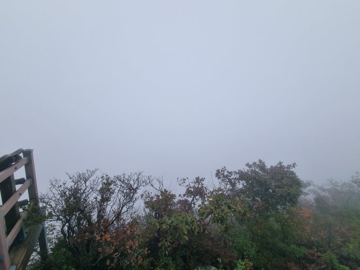  [대구] 동봉에 가을이 오다.