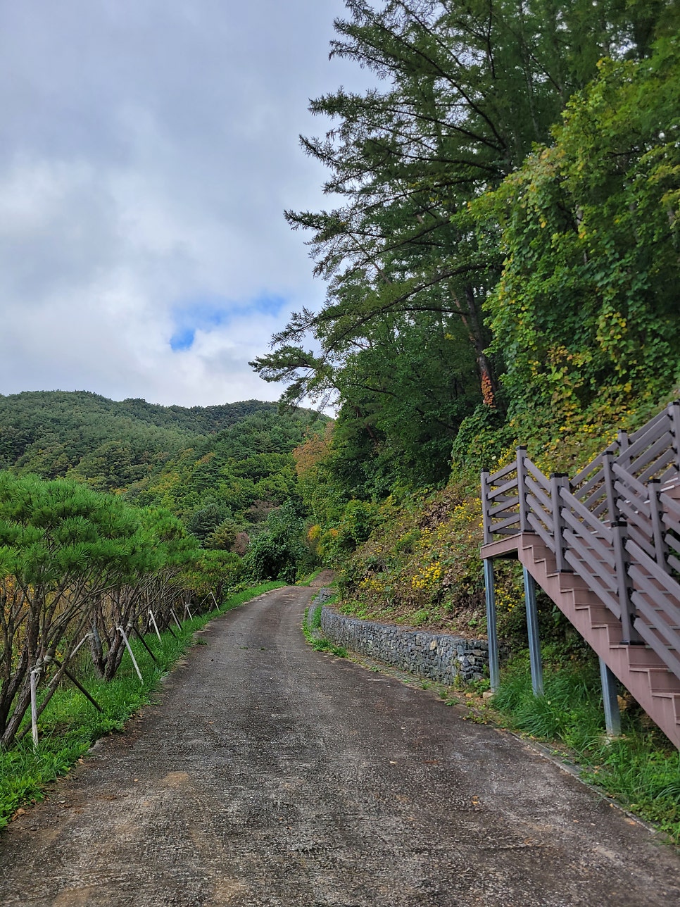 철미산 사진 5