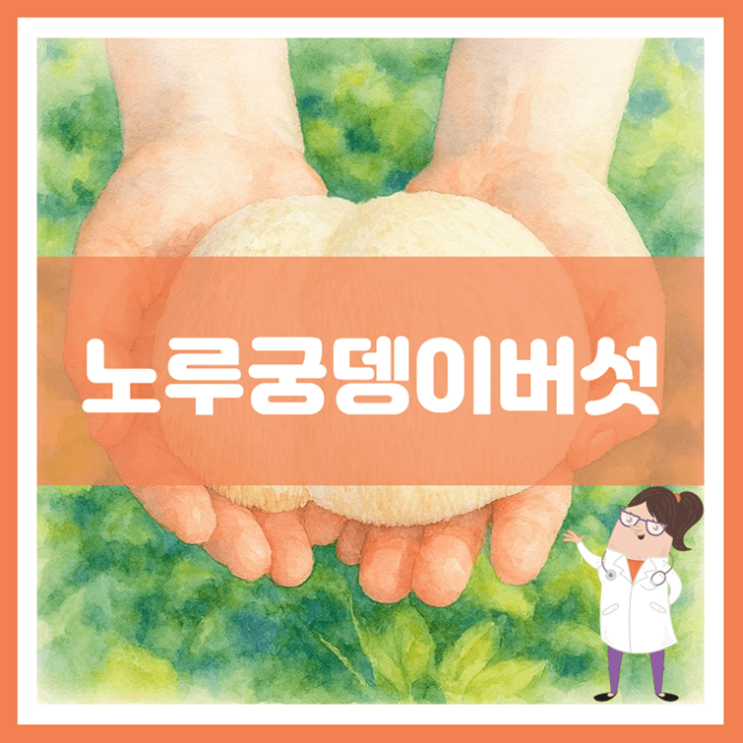  노루궁뎅이버섯 효능 부작용 보관방법