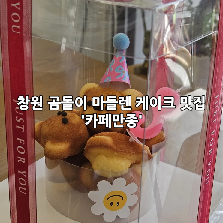  창원 곰돌이 마들렌 케이크 맛집 '카페만종' 8구 구입 후기 (+답례품, 박스케이터링)