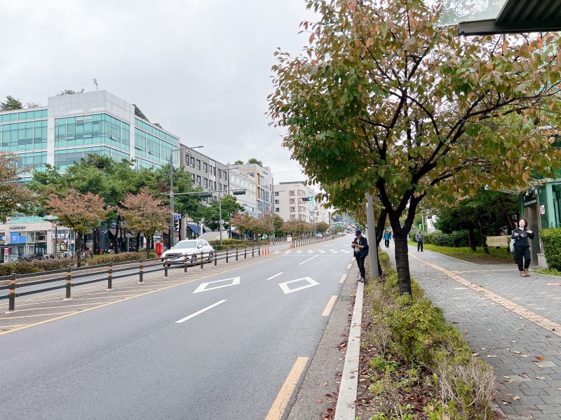 사진 9