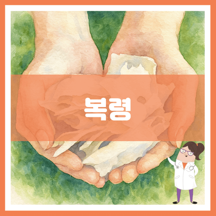  복령 효능 부작용 먹는 방법
