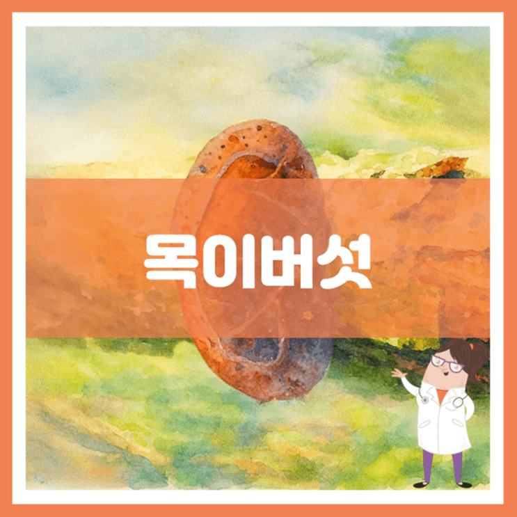  목이버섯 효능 부작용 보관방법