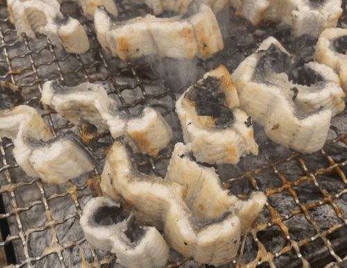 남양주시 별내 맛집 ‘장어의 꿈’｜웨이팅에도 먹을 가치 100%!