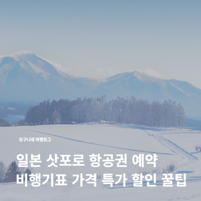  삿포로 항공권 예약 비행기표 평균 가격 특가 할인 꿀팁