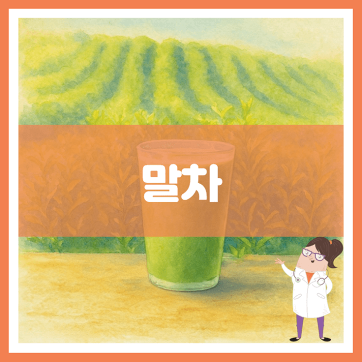  말차 효능 섭취방법 부작용