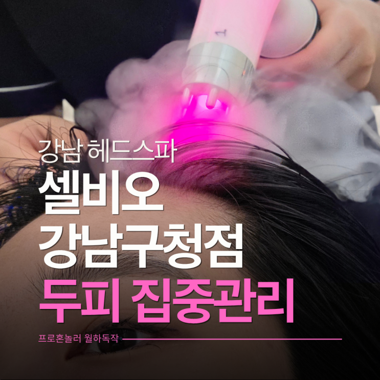  압구정두피마사지 셀비오 강남구청점에서 개운한 두피관리