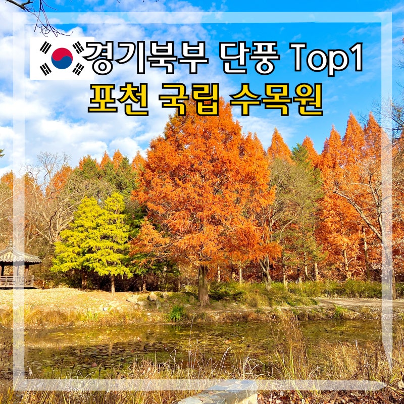 경기북부 가볼만한곳 포천 국립수목원 단풍 여행 광릉 둘레길