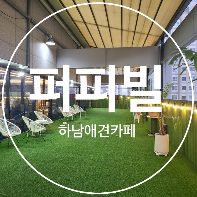 사진 5