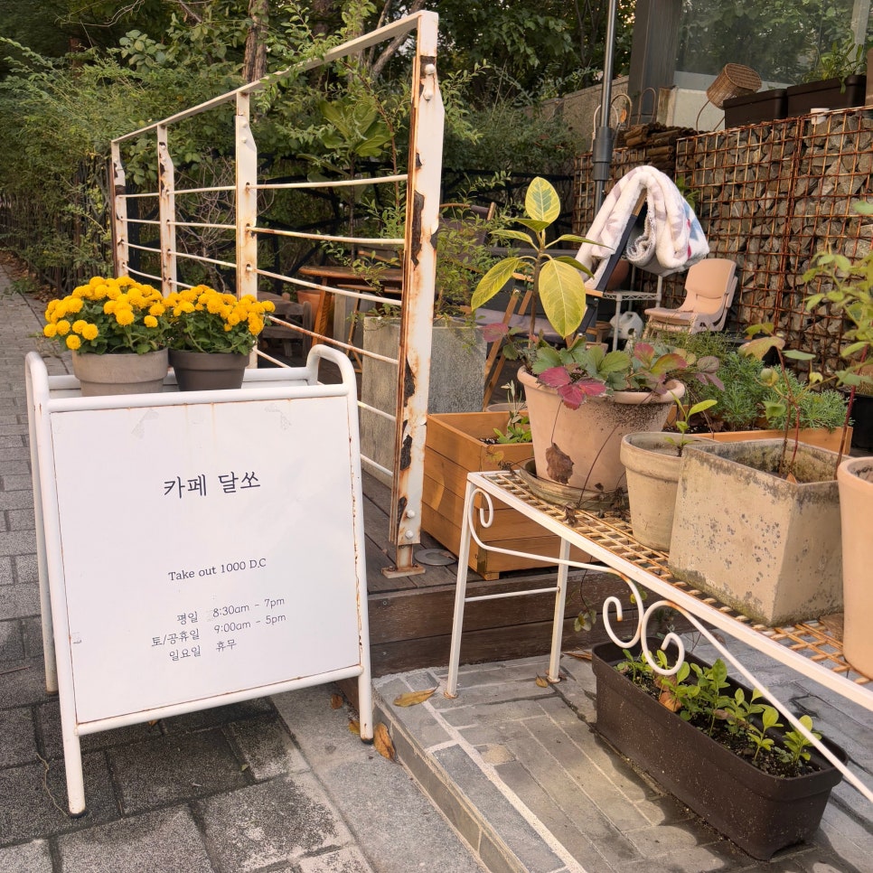 달쏘 사진 2