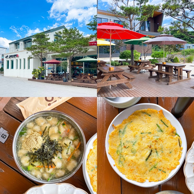  강릉 감자옹심이 맛집 애견동반 식당 감자적1번지 내돈내산