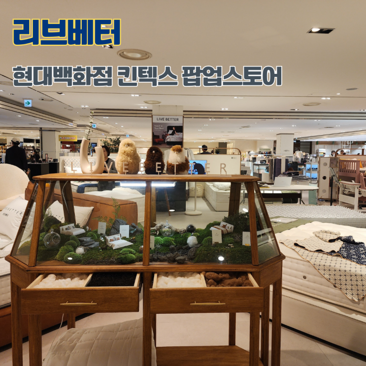  리브베터 매트리스 체험 현대백화점 킨텍스점 팝업스토어 말총매트리스