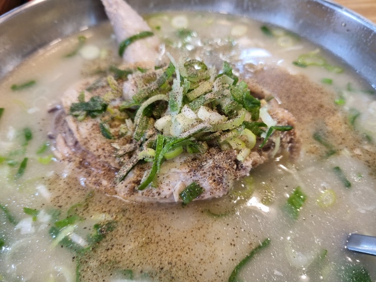  [대구] 돈이 아깝지 않은 '언양닭칼국수'