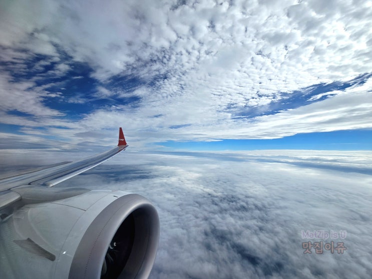  제주여행 1부 / 청주공항, 제주공항, 애월 달고래키친, 귀덕리카페 커피공장