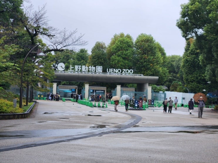 일본 도쿄 아기와 가기좋은 우에노 동물원