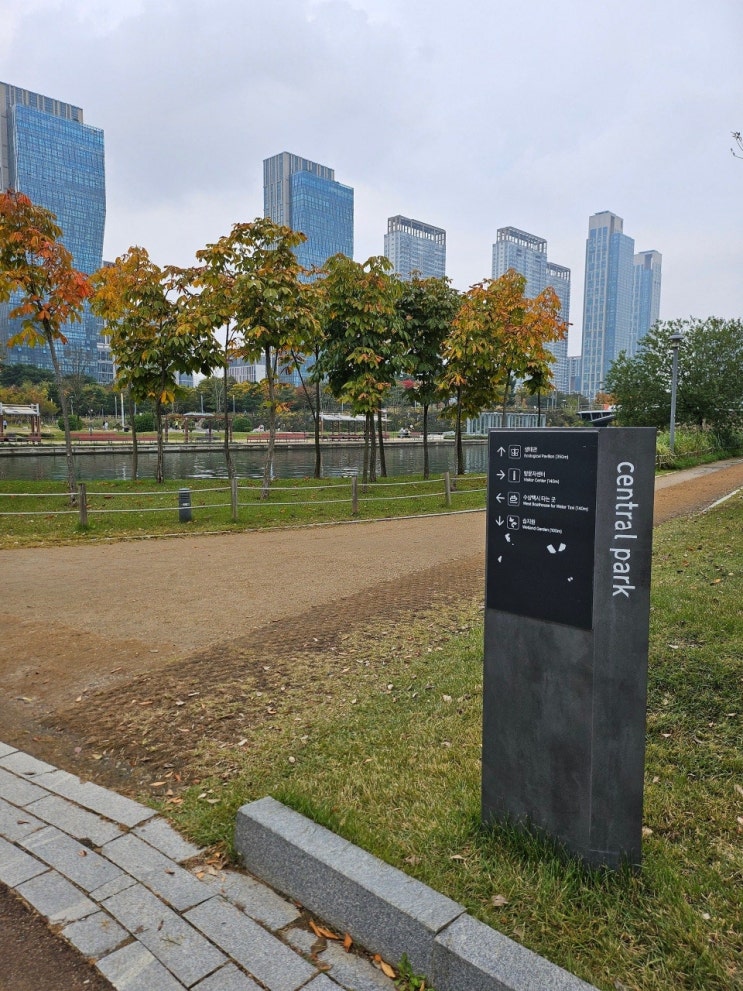  < 송도 나들이 > EP. 백스물한 번째 테디 테일즈 송도 센트럴 파크로  떠난 가을 이야기