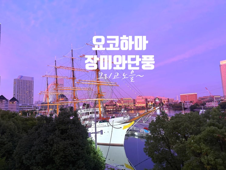  가을에 장미가 핀다고? 요코하마, 지금이 가장 예쁘다